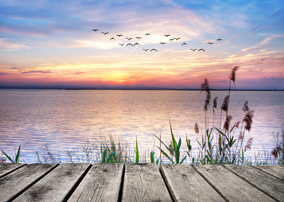 Bridge on the lake.